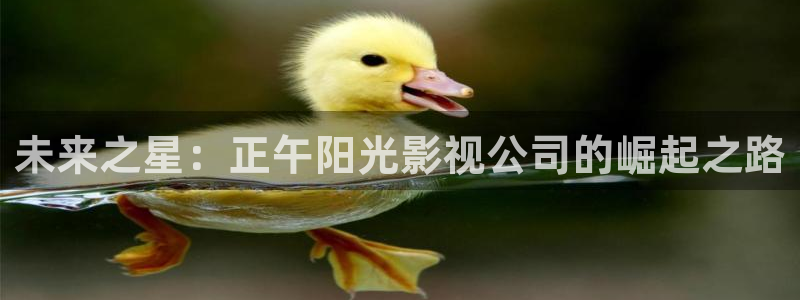 西瓜子的西瓜